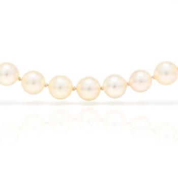 A necklace with cultured pearls and a clasp in 18K gold with a cabochon-cut turquoise.