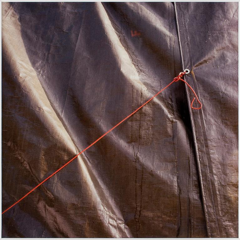 PETTER ANTONISEN, C-Print, sign a tergo.