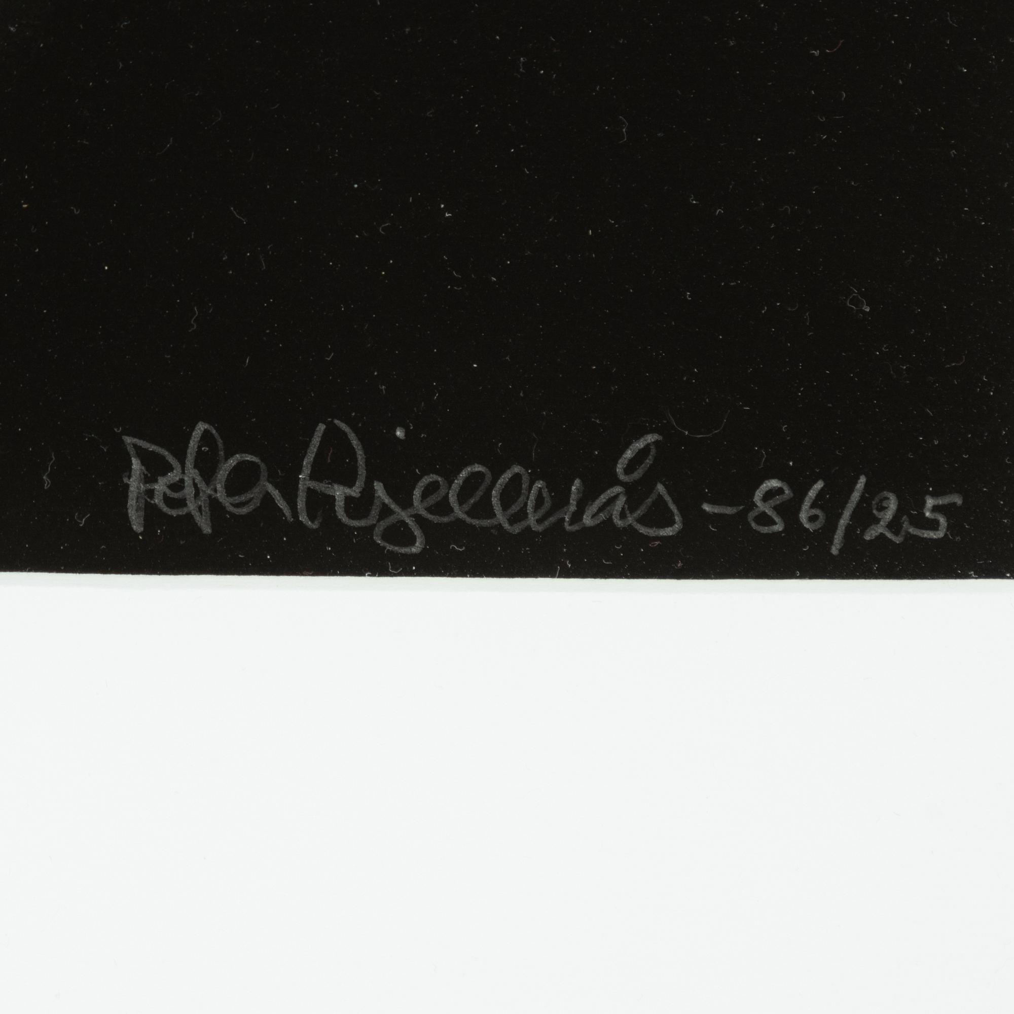 Peter Kjellerås, "Joakim Thåström, Ritz", 1986.