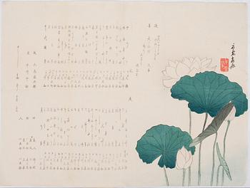 TUNTEMATON TAITEILIJA, puupiirros, Japani, 1900-luvun alku.