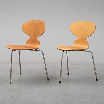 ARNE JACOBSEN, stolar, ett par, "Myran", Fritz Hansen, Danmark, 1950-tal.