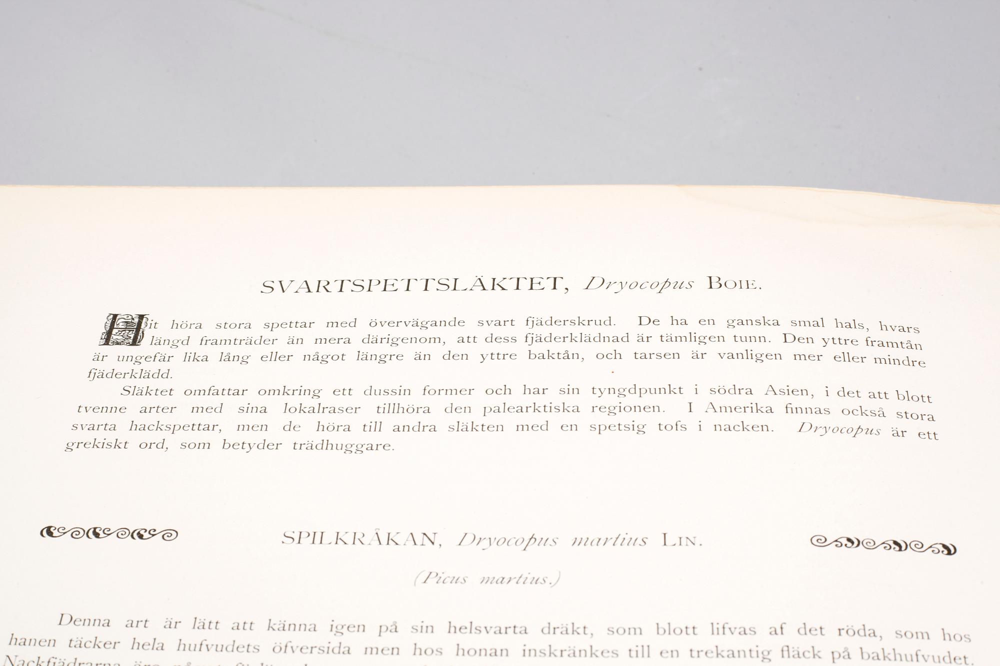 M, W & F VON WRIGHT, books, three volumes, 'Svenska fåglar', A. Börtzells tryckeri AB Stockholm, 1924-1929.