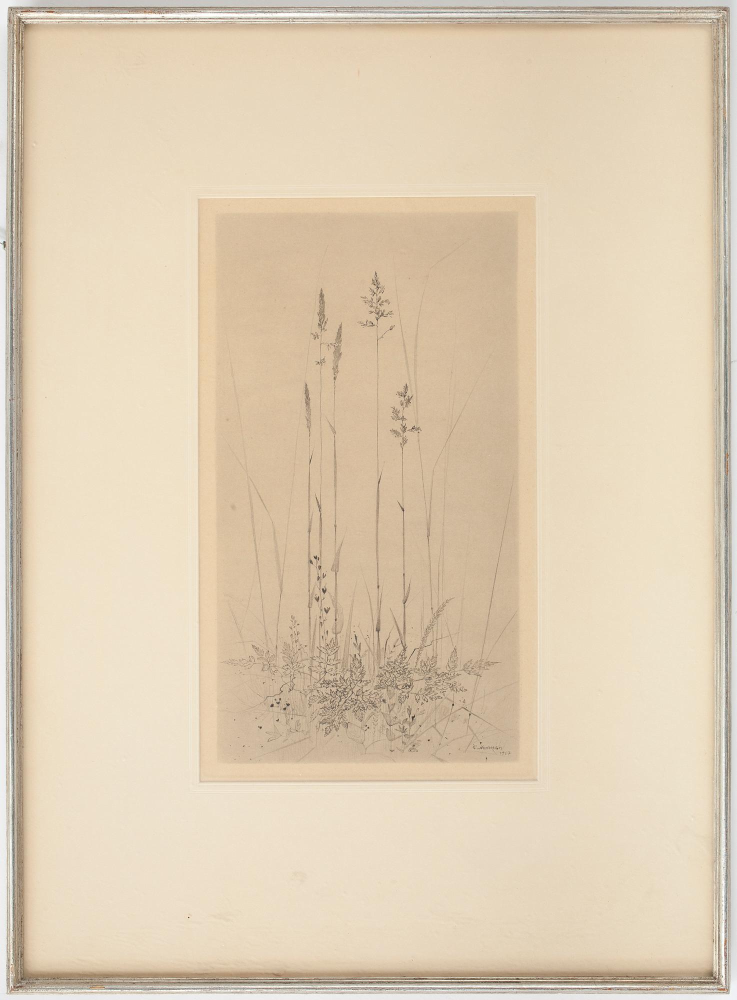 GUNNAR NORRMAN, teckning, signerad och daterad 1957.