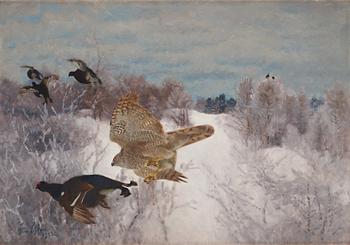 Bruno Liljefors, Northern goshawk attacking black grouse.