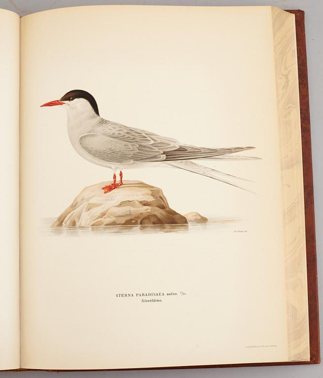 A set of three books about Swedish birds by von Wright. 1927.