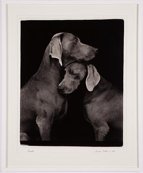 William Wegman, "Friends".