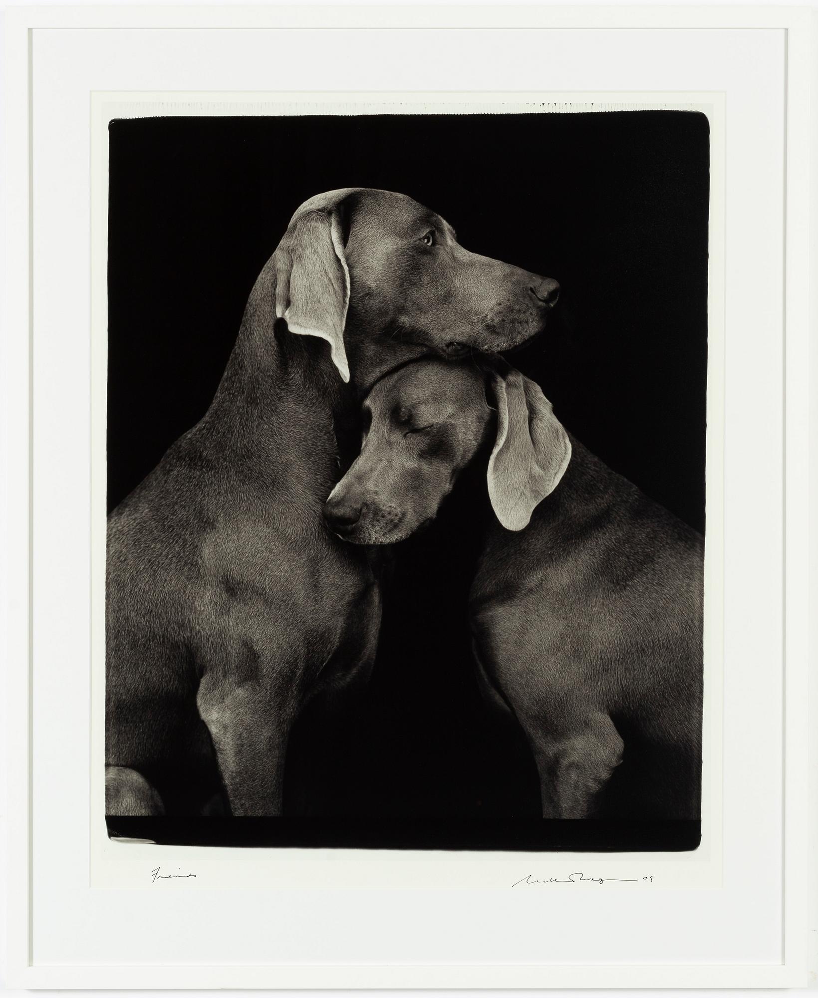 William Wegman, archival pigment print, 2009, signerat. Numrerat 251/1500 a tergo.