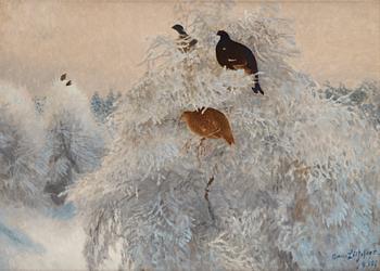 411. Bruno Liljefors, Winter landscape with black grouse in tree tops.