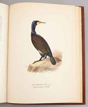 A set of three books about Swedish birds by von Wright. 1927.