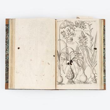 Beautiful botanical work with 177 engravings, 1641 (-44).