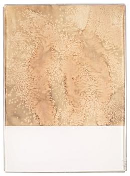 Susan Weil, "Tidal Schah".