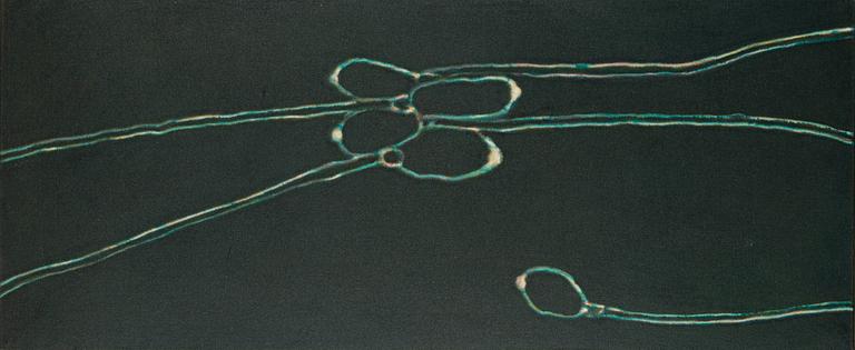 Osmo Rauhala, "Consciousnes".