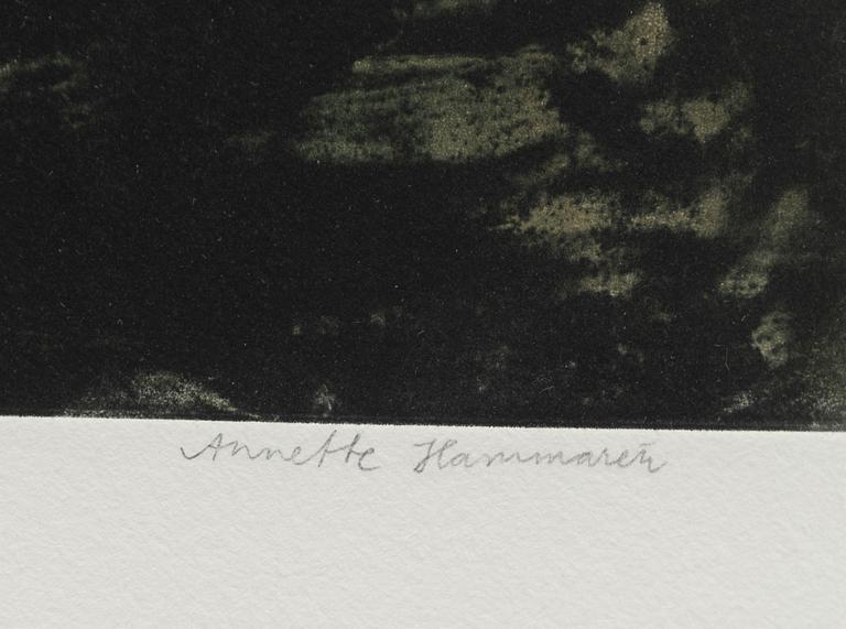 Annette Hammarén, "Kvällsljus".