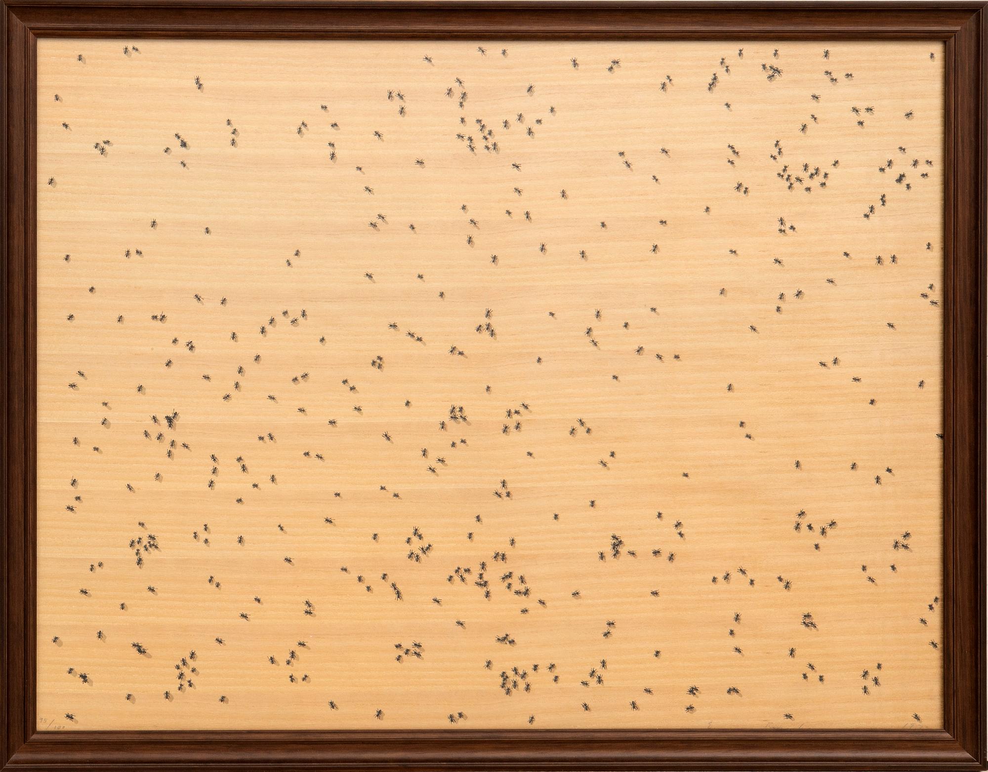 Ed Ruscha, "Black ants" from the series "Insects".