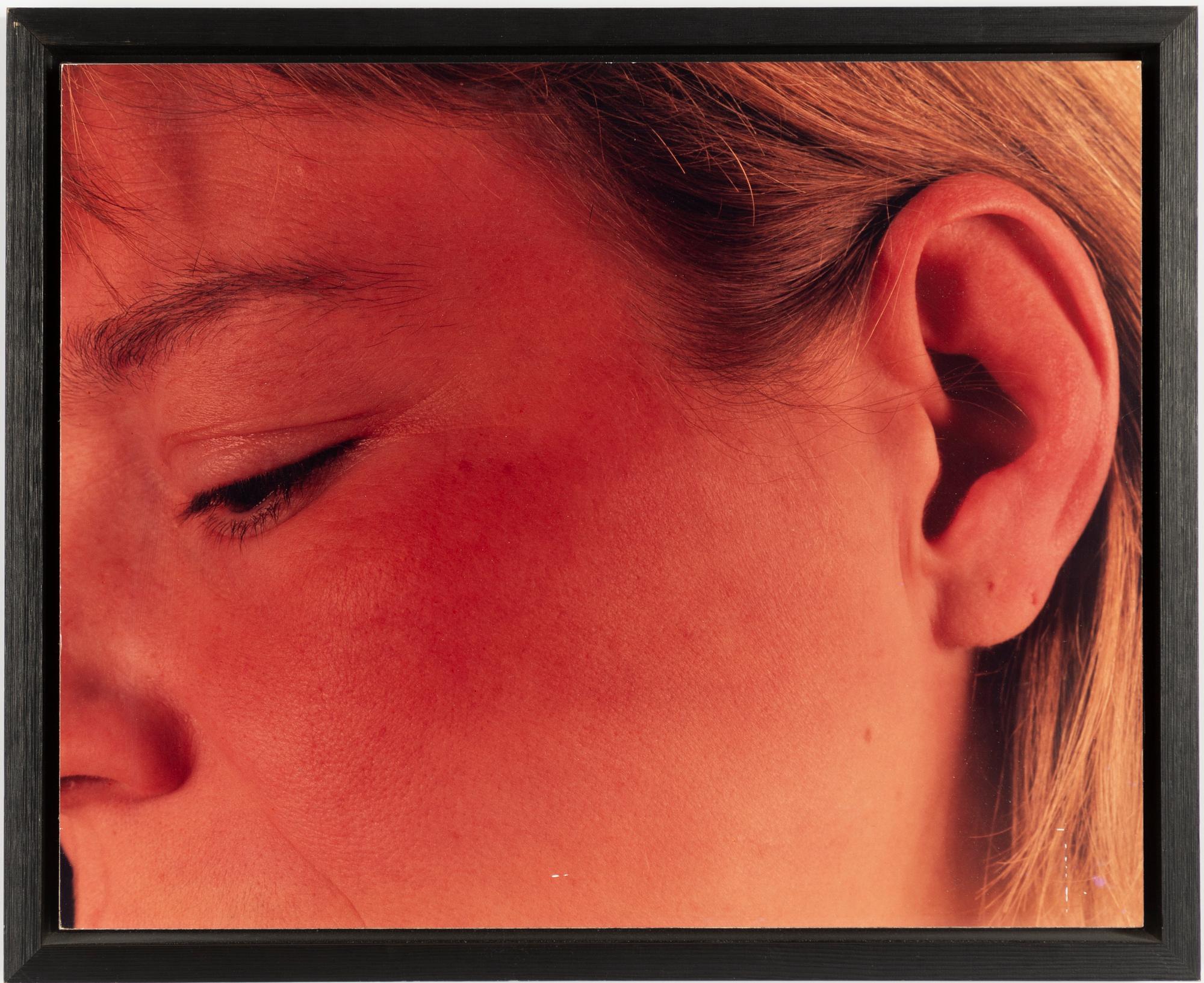 Staffan Redin, Untitled, quadriptych.