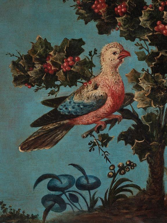 Italian school 18th Century. Stillifes with birds, a pair.