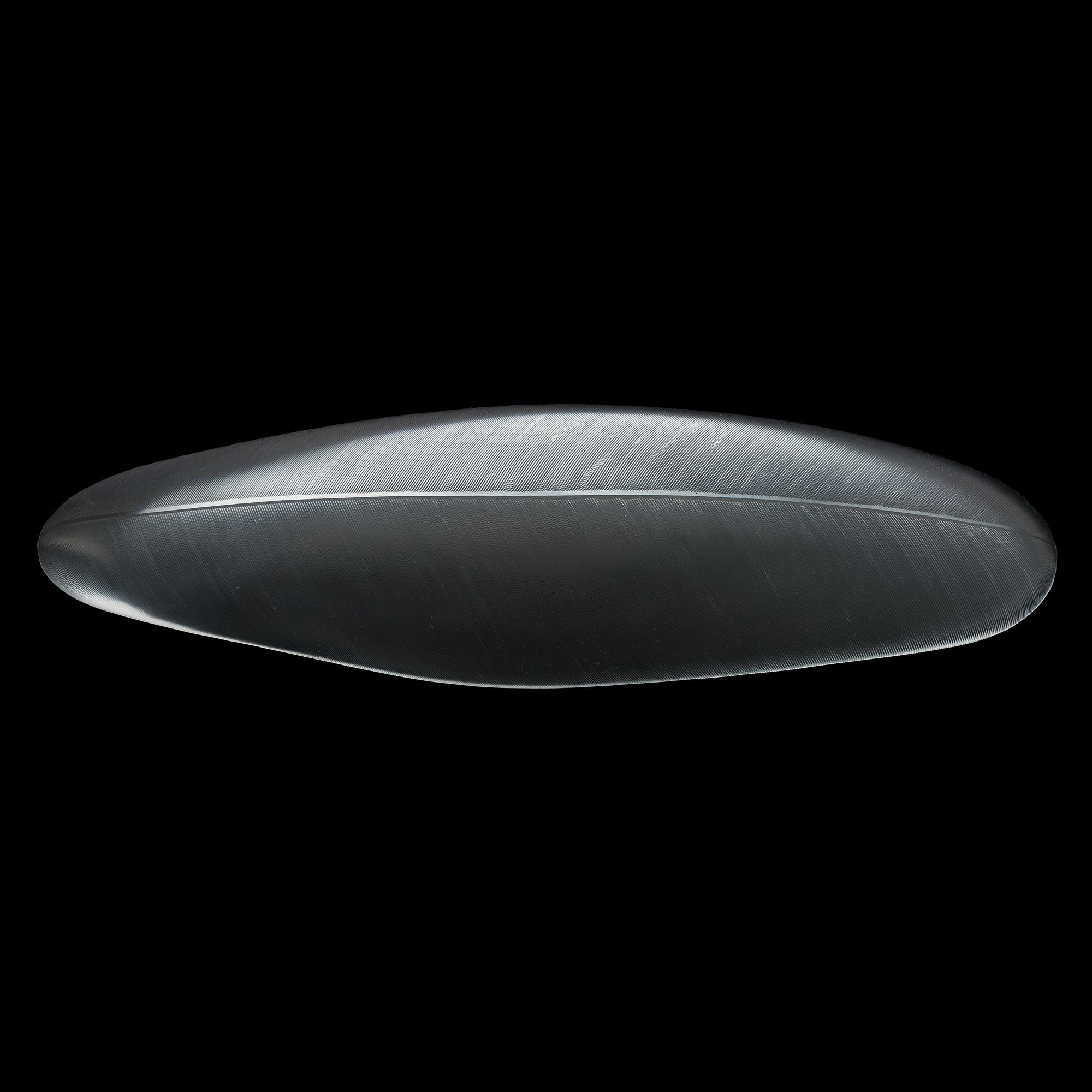 Tapio Wirkkala, taide-esine 3869, "Sulka" signeerattu Tapio Wirkkala Iittala -55.