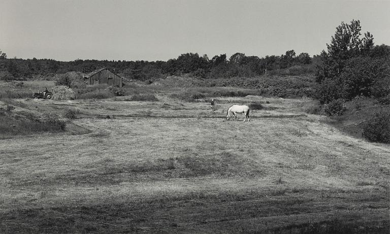 Pentti Sammallahti, "Benö, 1976".