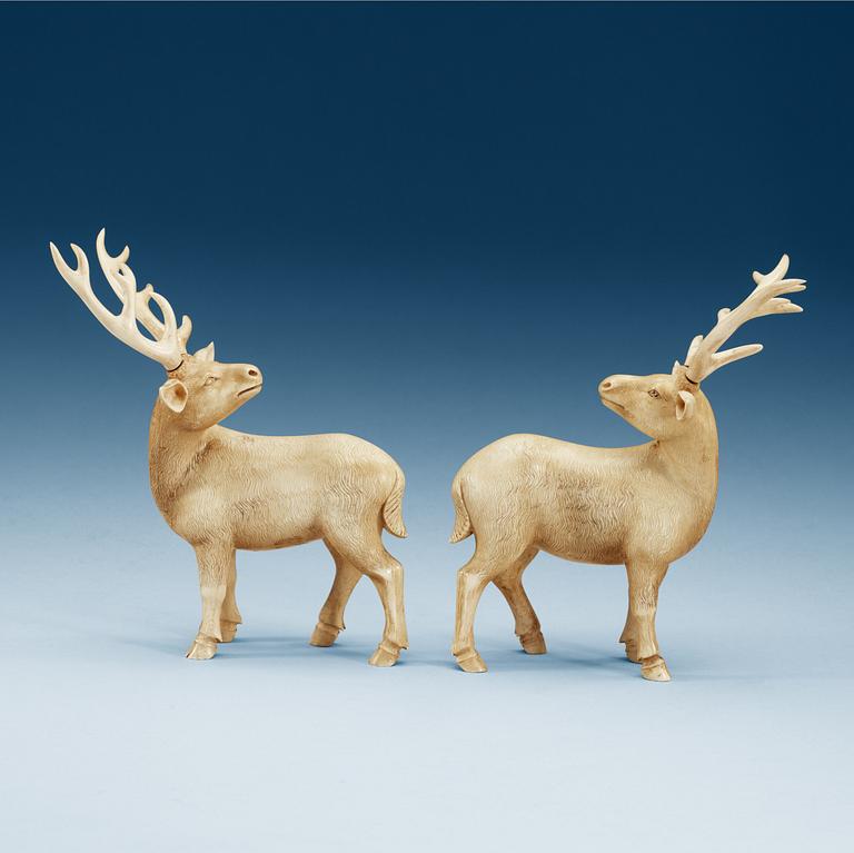 A pair of ivory figures of deers, Qing dynasty, presumably Qianlong (1736-95).