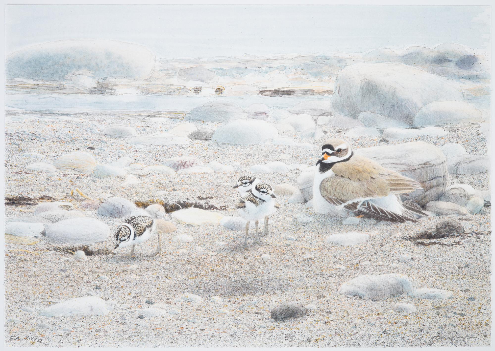 Lars Jonsson, portfolio "Strandspeglingar" with 5 lithographs in colour, signed EA XIV/XL.