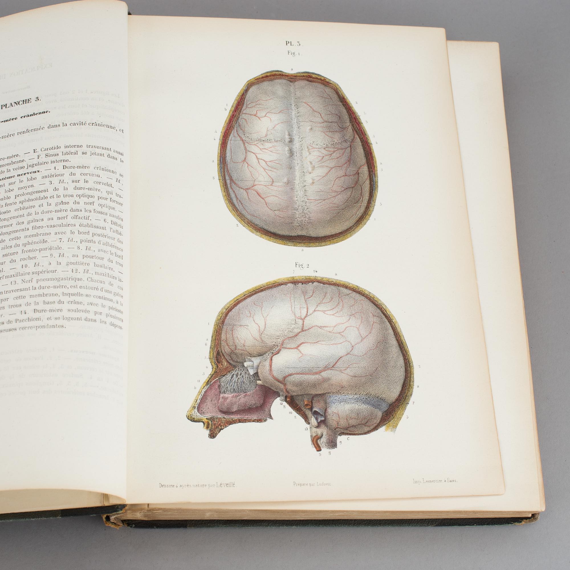 ATLAS, "Systeme Nerveux", Ludovic Hirschfeld, Victor Masson et Fils,  Paris, 1866.