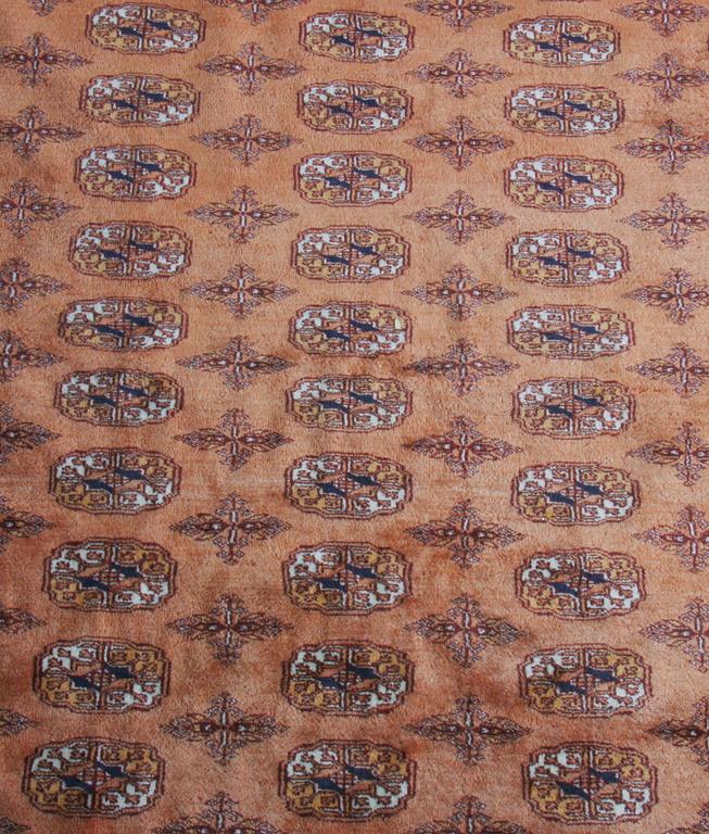 MATTA, Pakistan. 243 x 162.