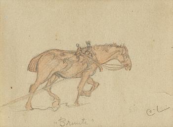 128. Carl Larsson, "Brunte" (Horse).