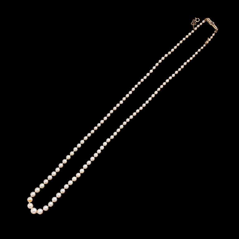 PÄRLCOLLIER, odlade doserade pärlor, lås 18 k guld.