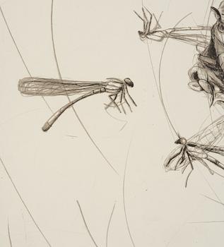 Linn Fernström, Girl in a bird's nest.