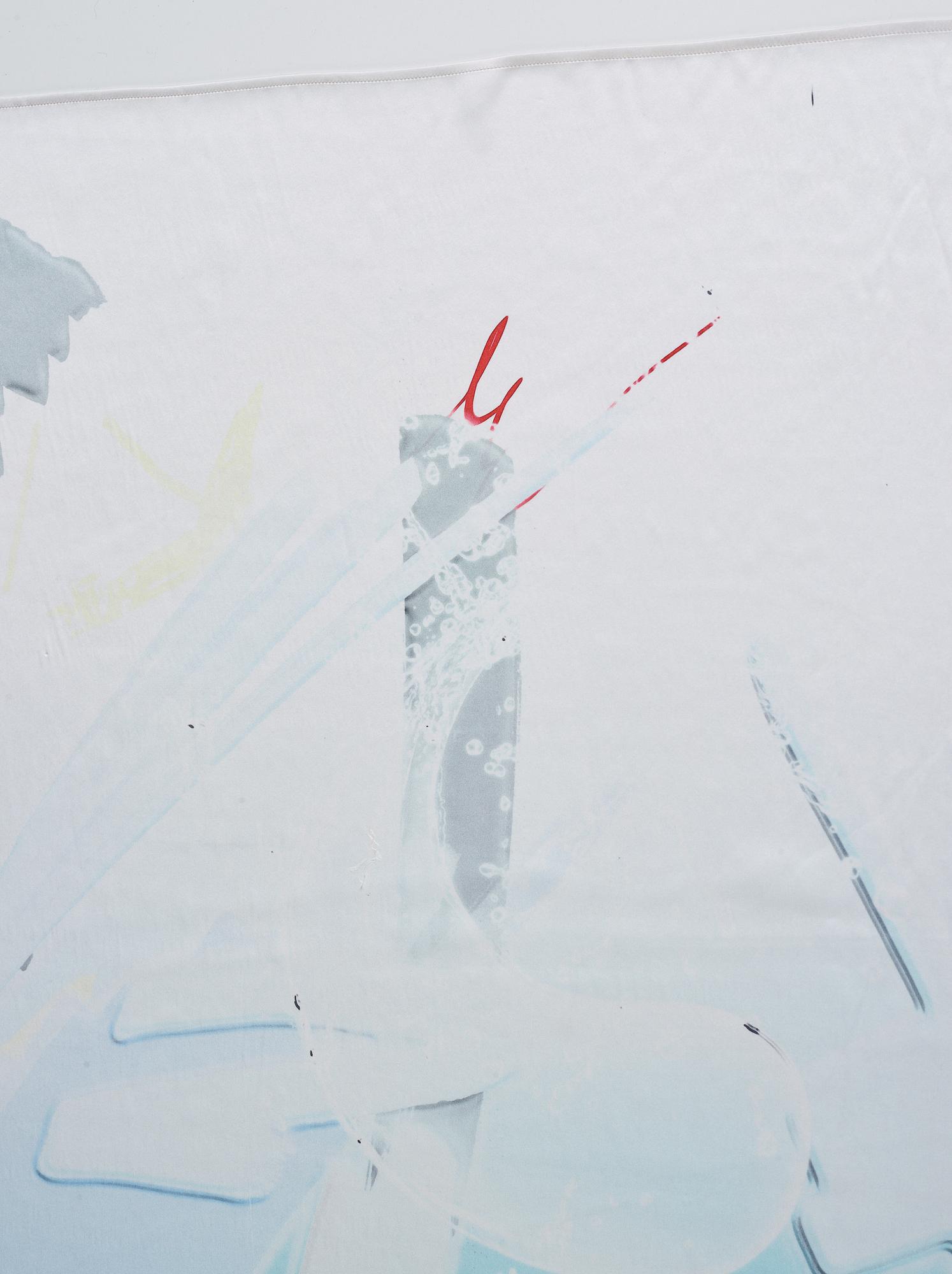 Petra Cortright, digital print on silk, executed in 2014.