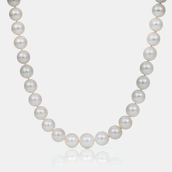 673. A cultured South Sea pearl necklace consisting of 31 graduated pearls Ø 14-16.2 mm.