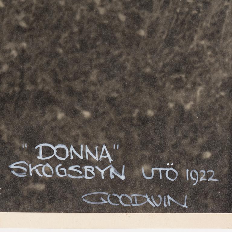 HENRY B. GOODWIN, photography, signed Goodwin and dated Utö 1922.