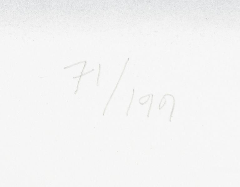 Yrjö Edelmann, "Stringed case of lemons I".