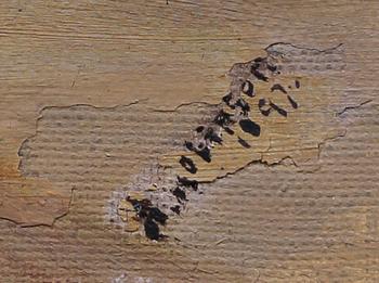 OKÄND KONSTNÄR, olja på duk, England, otydl sign o dat 1897.