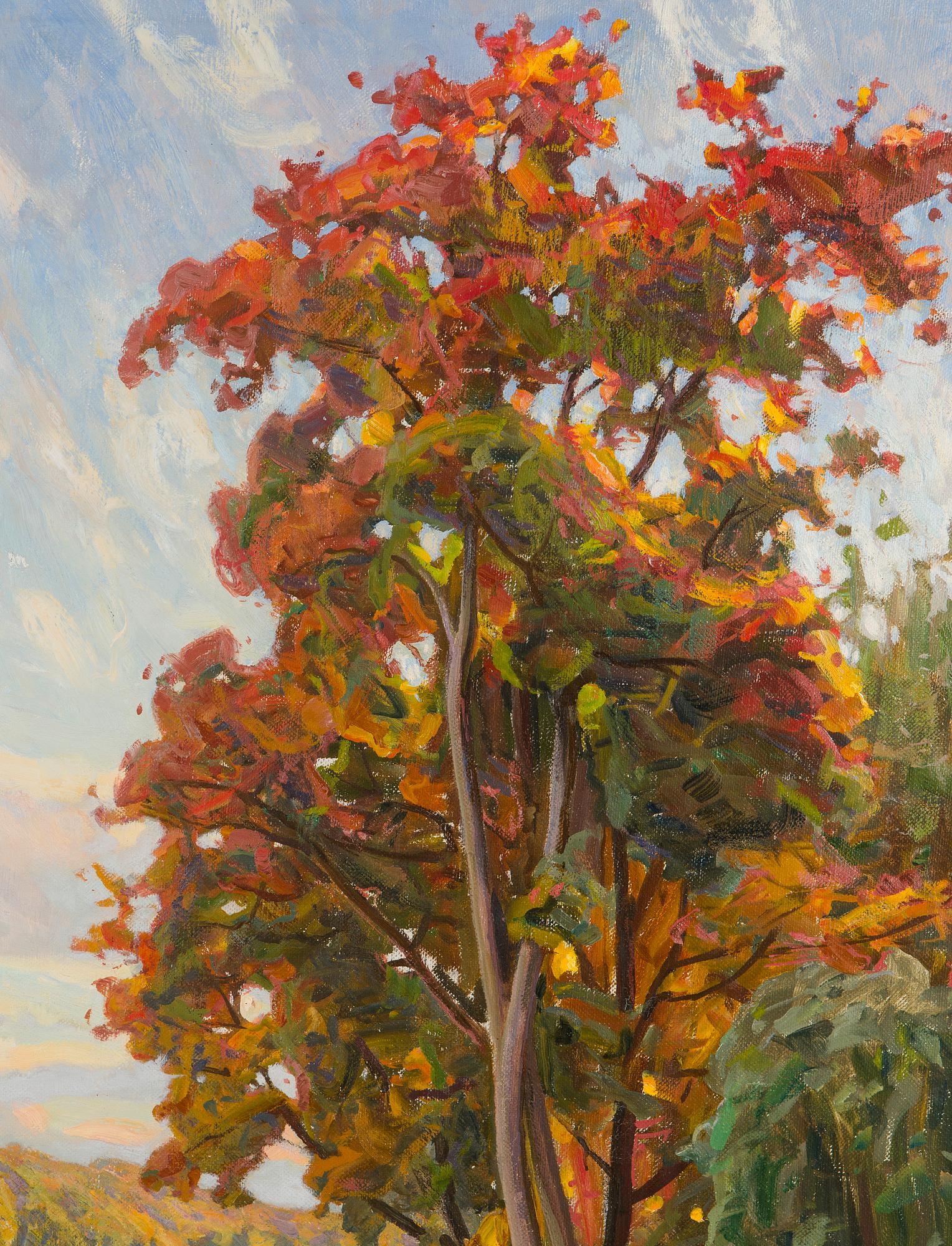 Victor Westerholm, Vy från Aura Å.