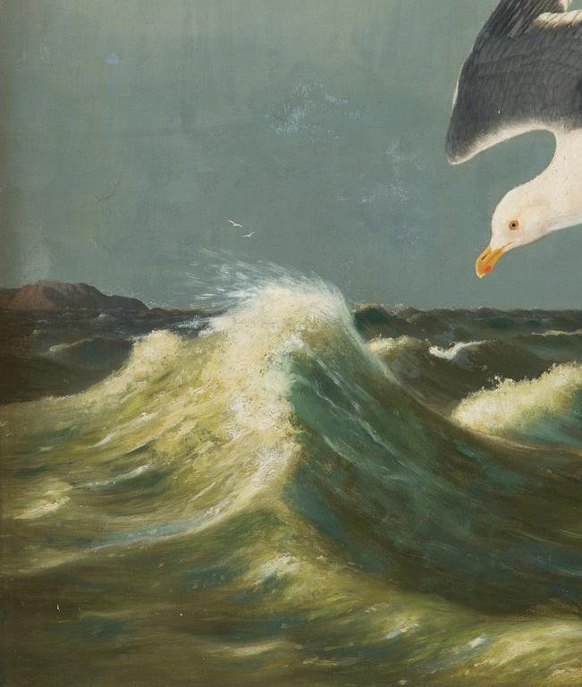 Ferdinand von Wright, Diving Seagull.