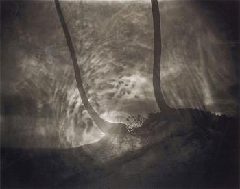 288. Sally Mann, "Untitled", 1999.