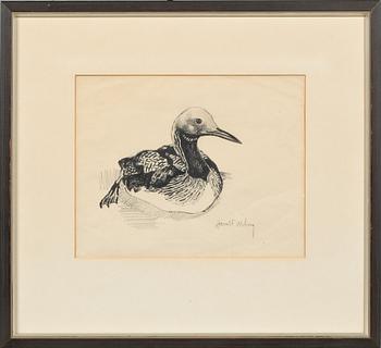 Harald Wiberg · HARALD WIBERG, teckning, signerad.