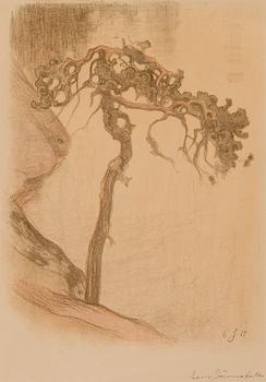 EERO JÄRNEFELT, GNARLED PINE, HALOSENNIEMI (1910).