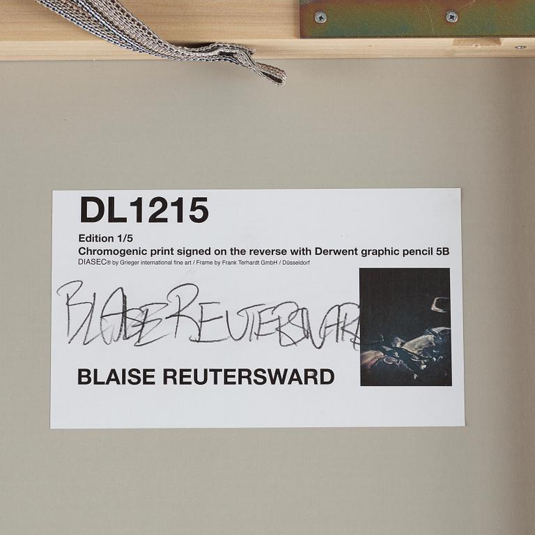 Blaise Reutersward, 'DL 1215', 2012.