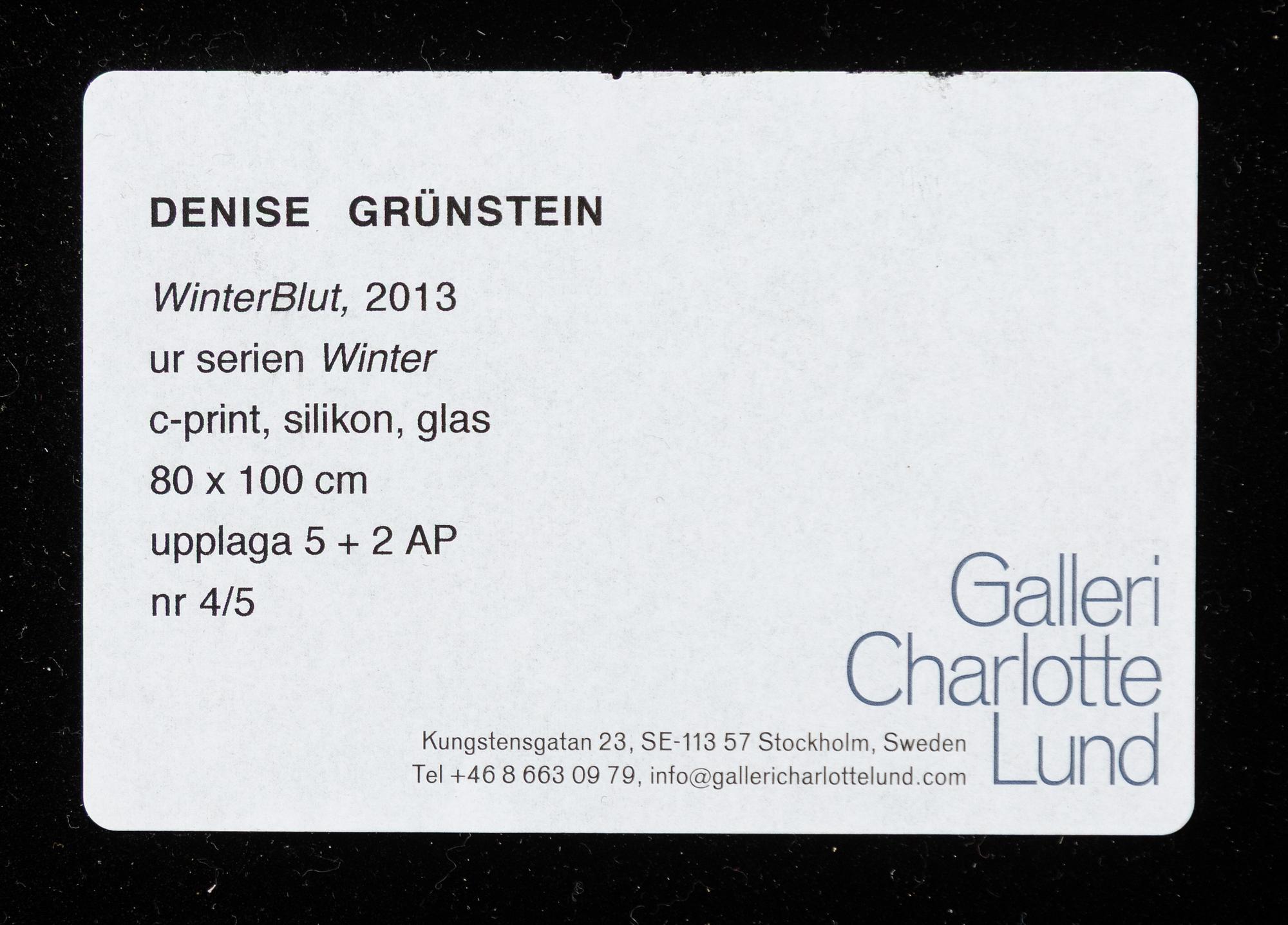 Denise Grünstein, "Winter Blut", 2013.