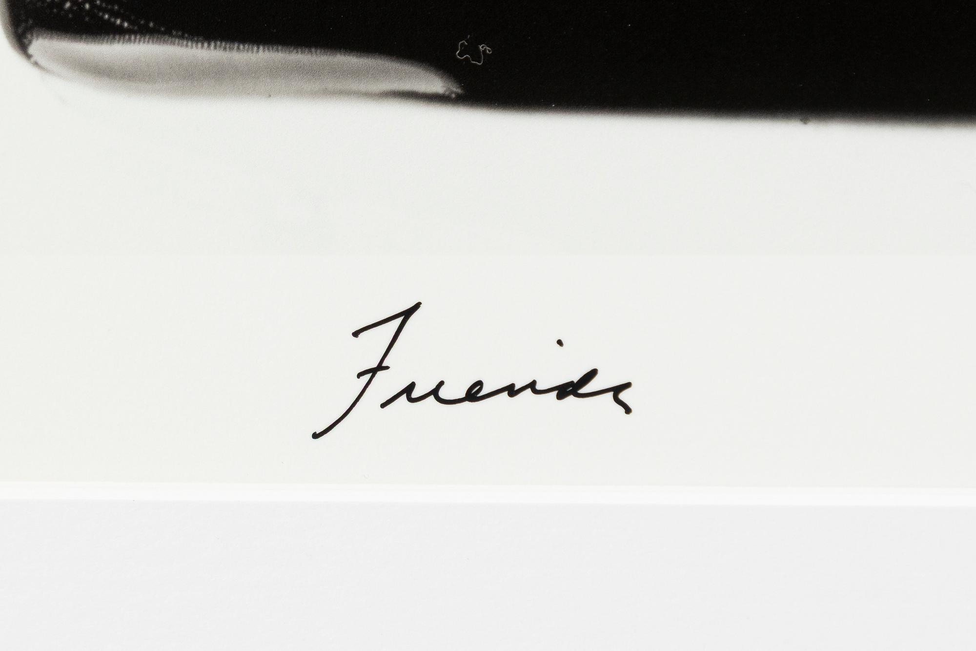 William Wegman, "Friends".