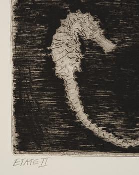 Hans Wigert, Sea horses.