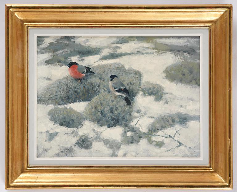 Thure Wallner, "Domherrar" (Bullfinches).