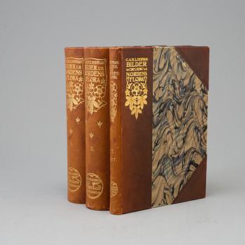 A set of three books, "Bilder ur Nordens Flora", CAM Lindman.