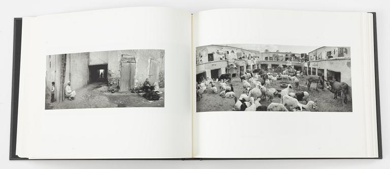 Pentti Sammallahti, "Täällä kaukana".