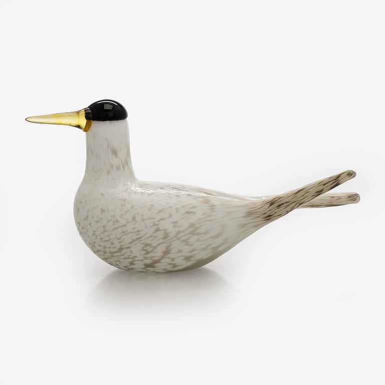 Oiva Toikka, an annual glass bird, 'Arctic tern', signed O. Toikka Nuutajärvi 2000.