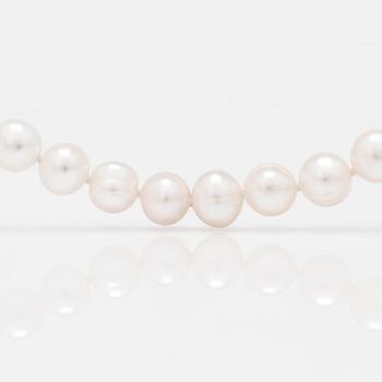 A necklace of cultured, fresh-water pearls.