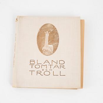 John Bauer, "Bland tomtar och troll", first edition, Julstämnings förlag, Gothenburg, 1907.