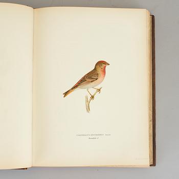 M.W OCH F. VON WRIGHT, 3 vol, Svenska fåglar efter naturen och på sten ritade, text av E. Lönnberg, Stockholm 1927-29.